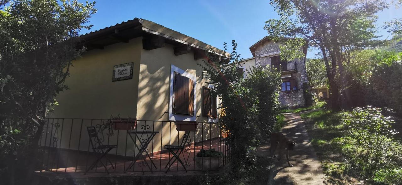 Country House Trevi Umbria Borghetto Vetuliae Santa Maria in Valle Exteriör bild